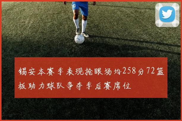 锡安本赛季表现抢眼场均258分72篮板助力球队争夺季后赛席位