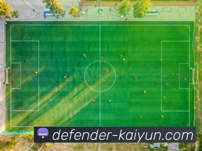 开云app平台生态图